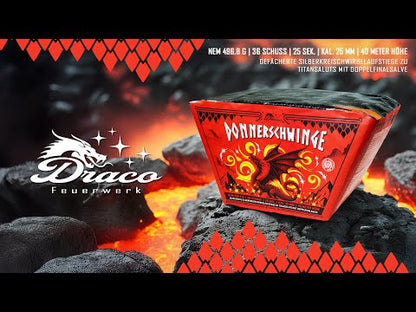 Draco Donnerschwinge